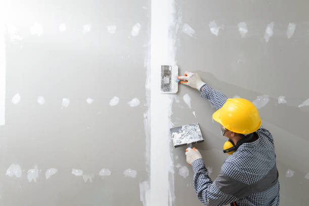 Mold Remediation for Rental Properties in Las Lomas, TX