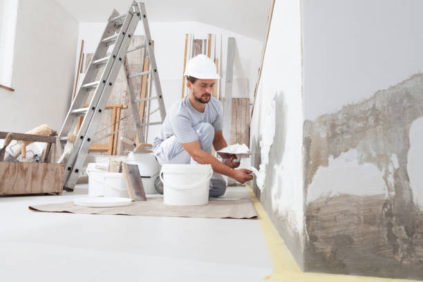 Professional Mold Removal in Las Lomas, TX